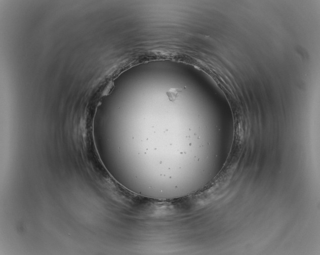 X0000112790424200909041416