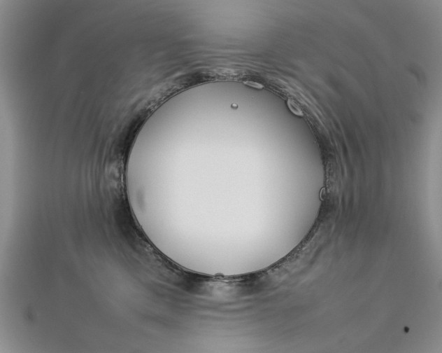 X0000112790425200909041416