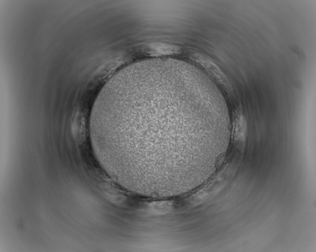 X0000112790426200909041416