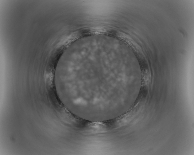 X0000112790427200909041416