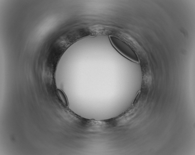 X0000112790429200909041416