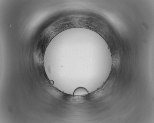 X0000112790431200909041416