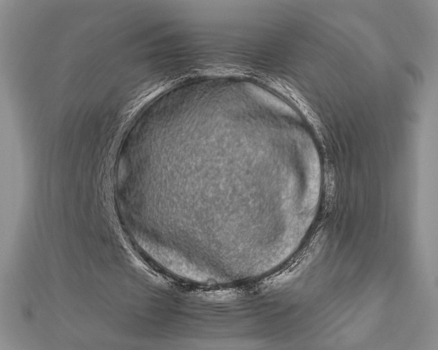 X0000112790433200909041415