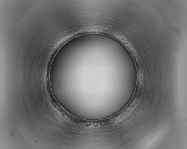 X0000112790434200909041415