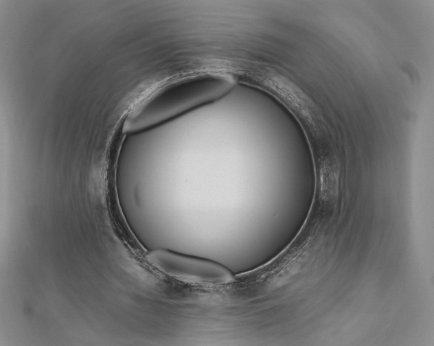 X0000112790436200909041415