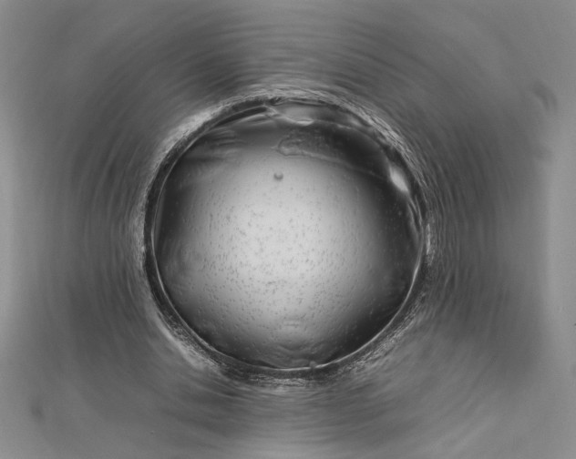 X0000112790438200909041415