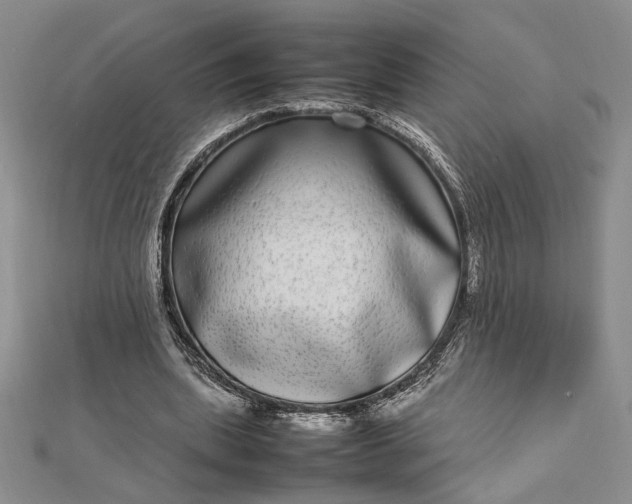 X0000112790439200909041415