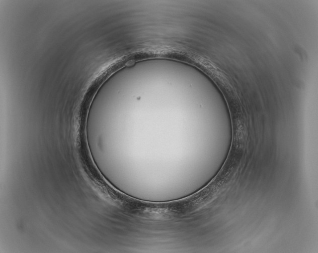 X0000112790440200909041415