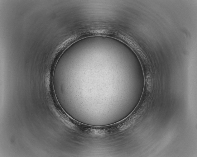 X0000112790442200909041415