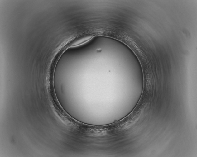 X0000112790443200909041415