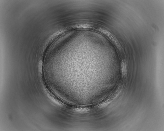 X0000112790445200909041415