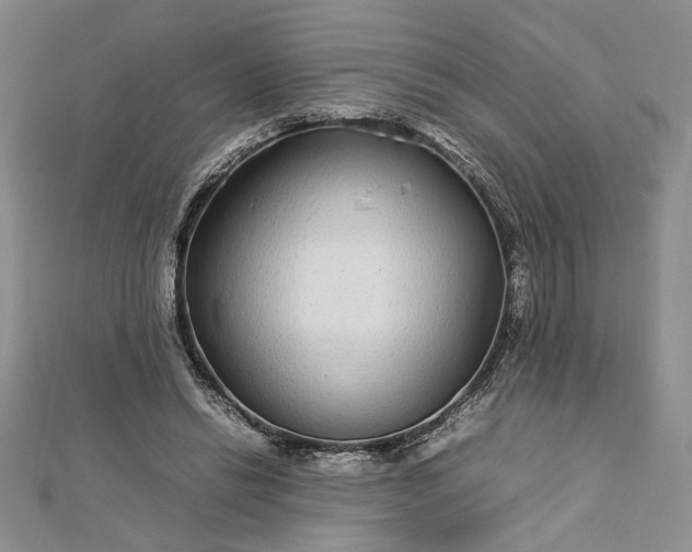 X0000112790446200909041415