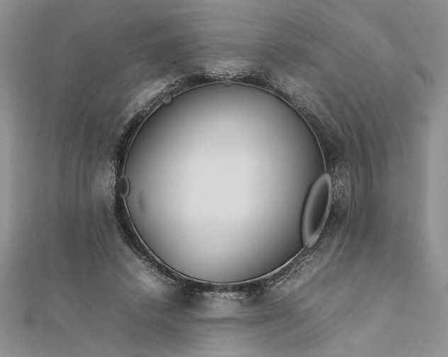 X0000112790448200909041415