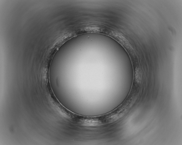 X0000112790449200909041415