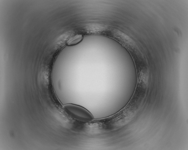 X0000112790452200909041415