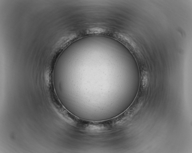 X0000112790455200909041415