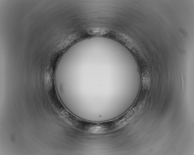 X0000112790460200909041415