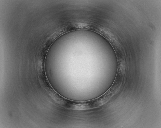 X0000112790461200909041415