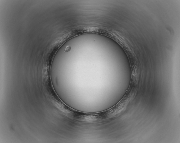 X0000112790462200909041415