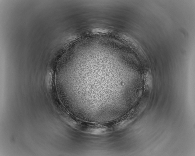 X0000112790463200909041415