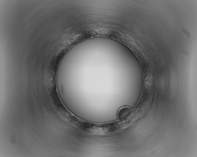 X0000112790464200909041415