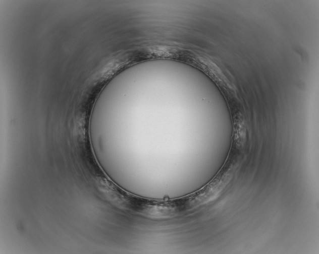 X0000112790466200909041415