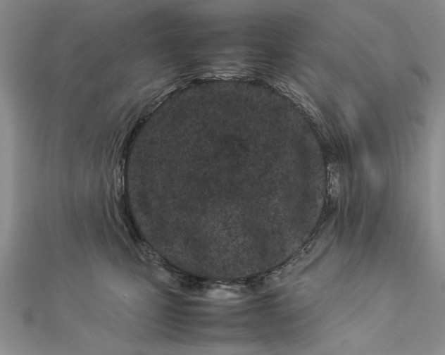 X0000112790471200909041415