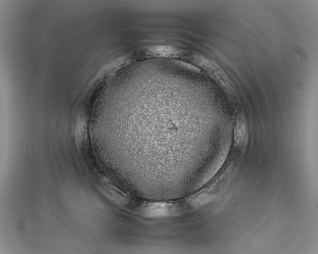 X0000112790473200909041415