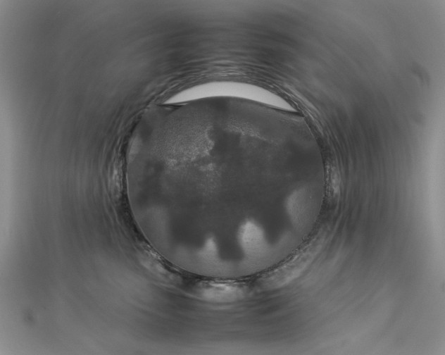 X0000112790475200909041415