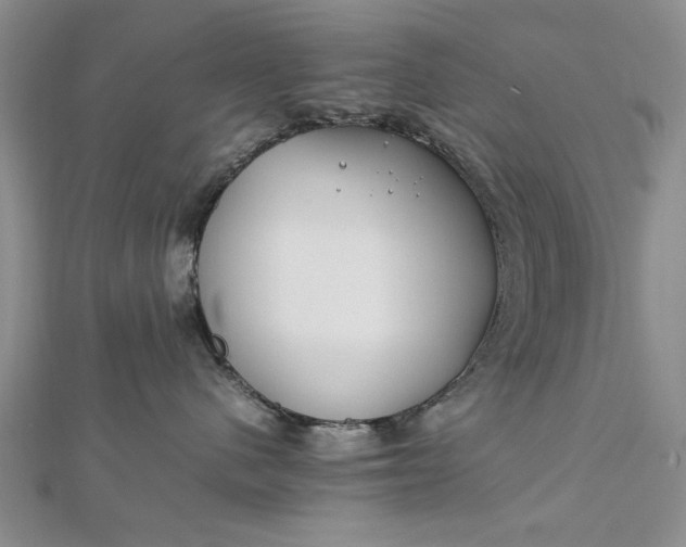 X0000112790480200909041416