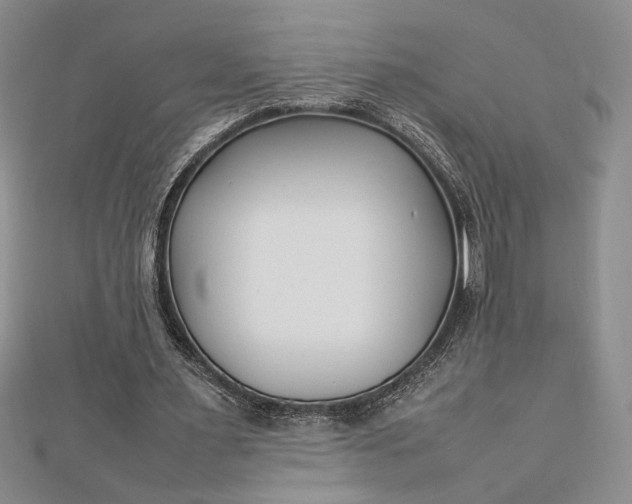 X0000112790483200909041415