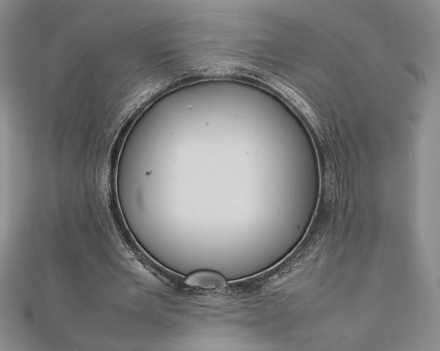 X0000112790485200909041415