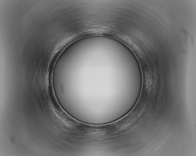 X0000112790486200909041415