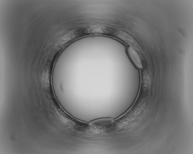 X0000112790489200909041415