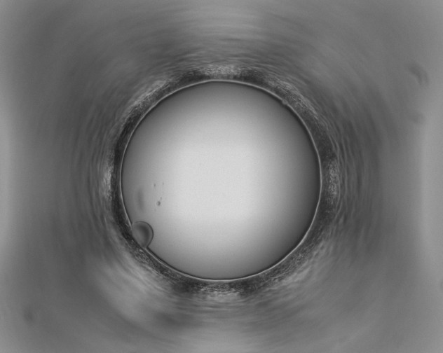 X0000112790491200909041415