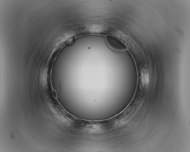 X0000112790492200909041415