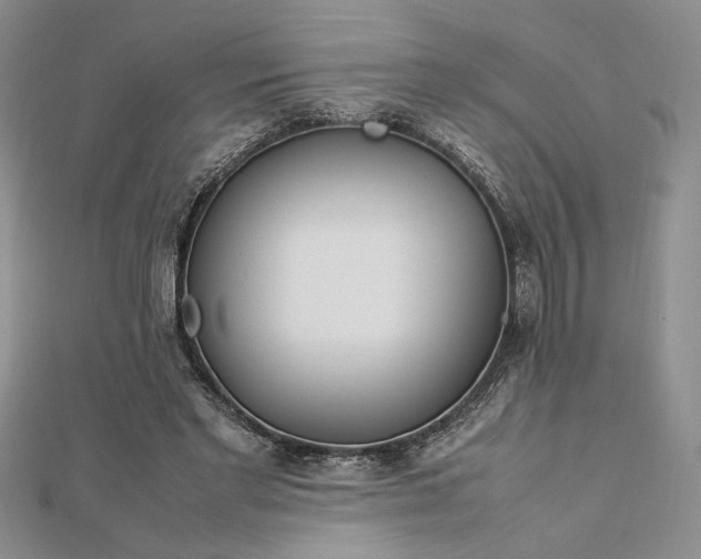 X0000112790493200909041415