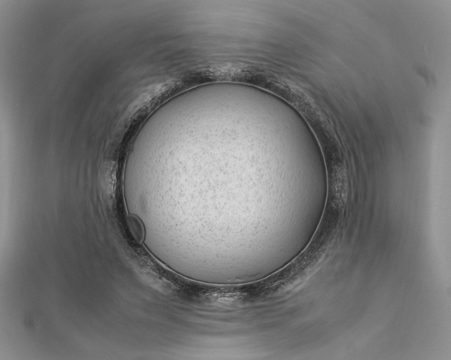 X0000112790495200909041415