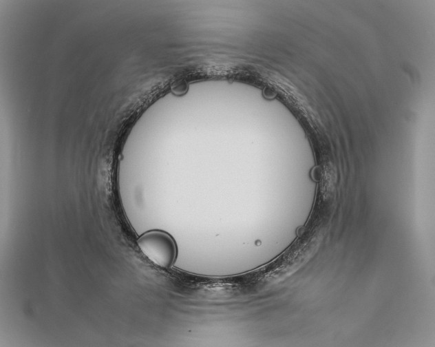 X0000112790497200909041415