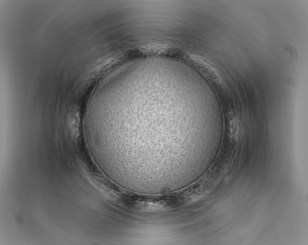 X0000112790498200909041415