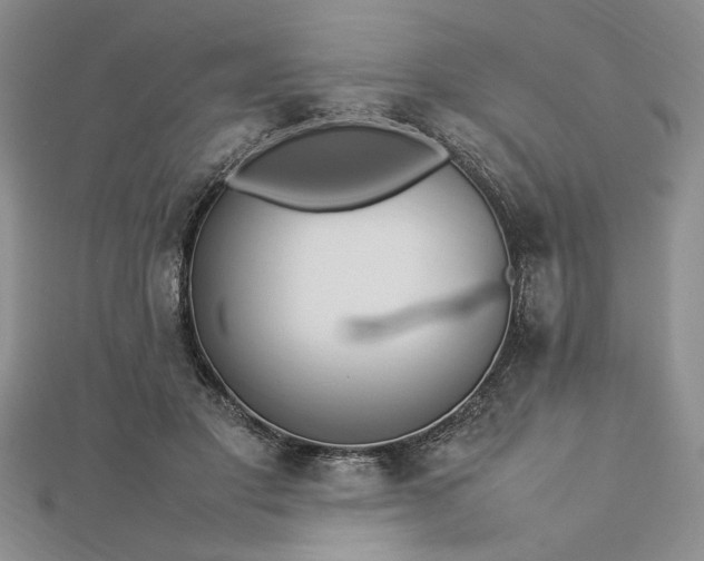 X0000112790501200909041415