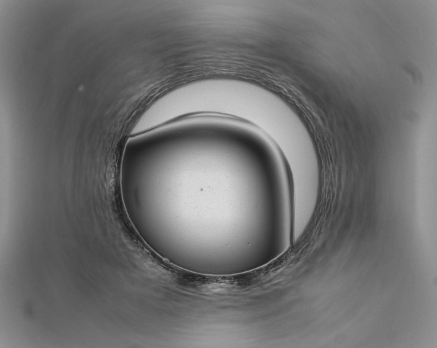 X0000112790505200909041415