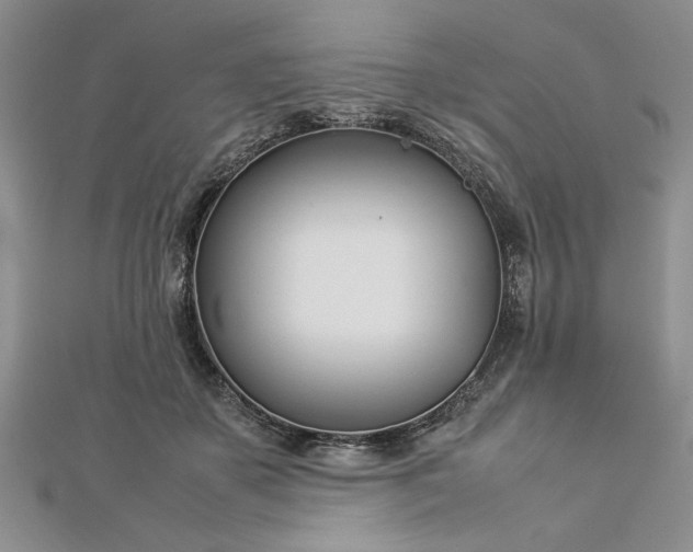 X0000112790507200909041415