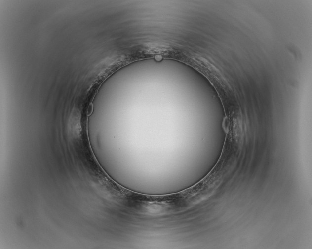 X0000112790508200909041415