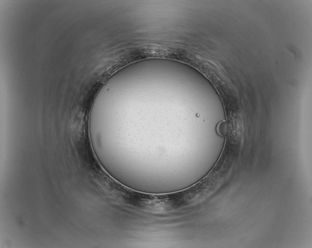 X0000112790511200909041415