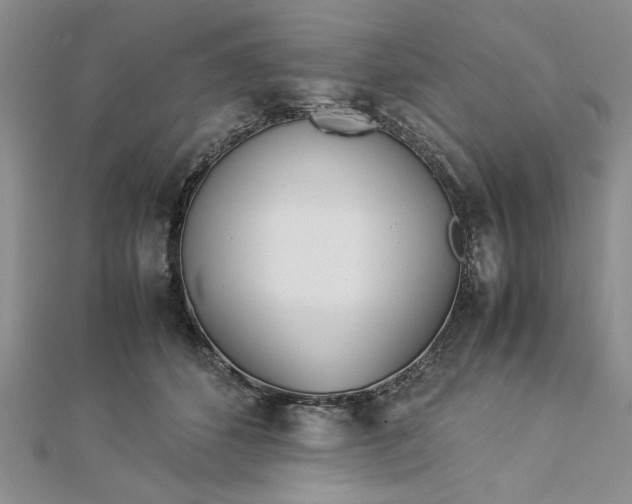 X0000112790512200909041415