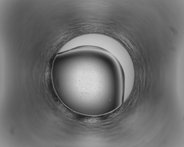 X0000112790513200909041415