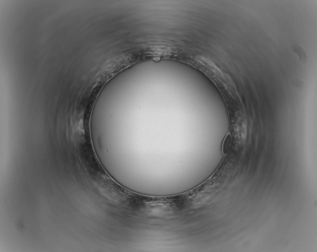 X0000112790516200909041414