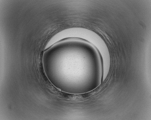 X0000112790517200909041414