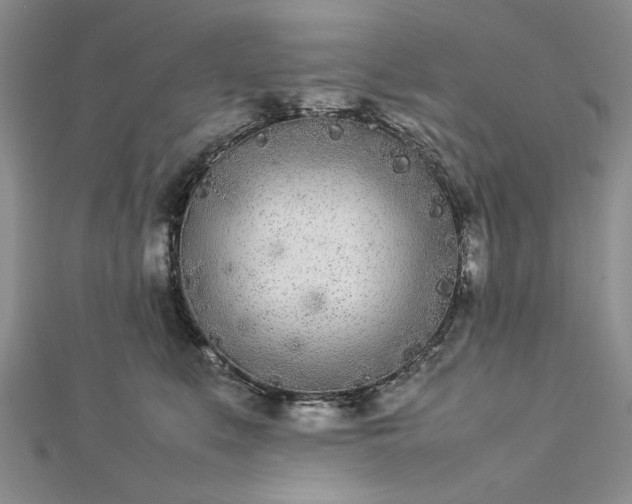 X0000112790519200909041414